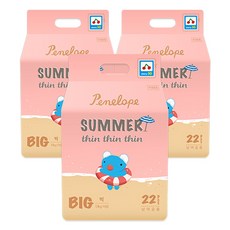 페넬로페 씬씬씬 아이스 썸머 팬티형 기저귀 공용, 빅형(BIG), 66매