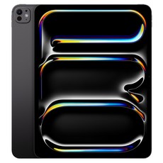 Apple 2025 아이패드 프로 13(M5 모델) 스탠다드 글래스, 스페이스 블랙, 2TB, Wi-Fi+Cellular