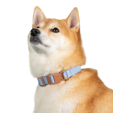 15034880746972800-540f0378-bd84-488b-937f-10b88beaff4b.png