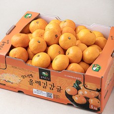 올레길감귤 해풍맞은 올레길 Ai 타이벡 12Brix 감귤 랜덤과, 5kg, 1박스