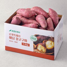 해남 꿀고구마, 5kg, 1개 5kg(대), 1개