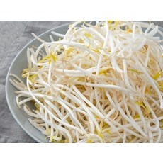 맑은물에 참좋은 국산 숙주나물, 500g, 1개