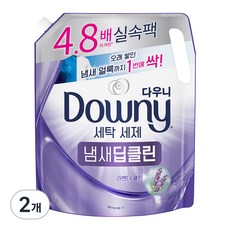 다우니 세탁세제 일반용 드럼 겸용 냄새딥클린 라벤더클린 리필, 2L, 2개