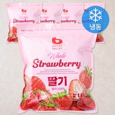 베리밸리 딸기 (냉동)