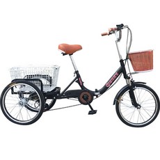 닥터바이크 접이식 삼륜 인삼 자전거 YGB-0020, 블랙, 170cm