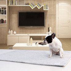 경산애견동반카페