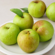 GAP 썸머킹 사과, 1.5kg, 1봉