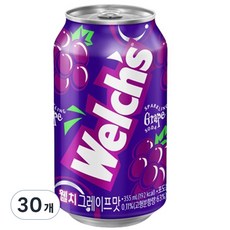 웰치스 포도 355ml, 30개 - 처치스