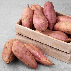영암 무농약 고구마, 1.5kg, 1박스