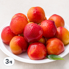 프레시픽 후무사 자두 특대, 3개, 1kg