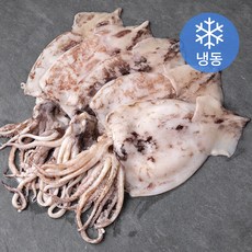 서풍앤쿡 손질 오징어 원양산 (냉동), 1kg, 1팩