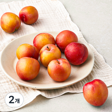 굿데이 당도선별 대석 자두, 1kg(대과), 2개