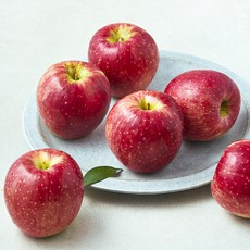셀렉트팜 GAP 인증 A 아리수 사과 5~7입, 1개, 1.5kg