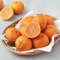 곰곰 고당도 카라향, 1.8kg(XL), 1박스