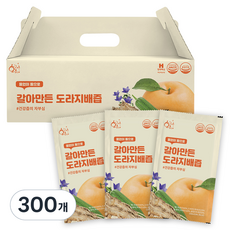 황금이네 갈아만든 도라지배즙