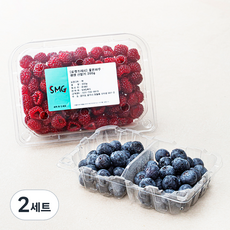 좋은하루 생생 산딸기 200g + 블루베리 200g 세트, 2세트
