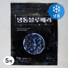 프리미엄 블루베리 (냉동), 5개, 1kg 5개, 1kg