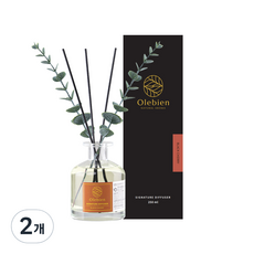 올레비엔 프리미엄 퍼퓸 디퓨저 실내용, 블랙체리, 250ml, 2개