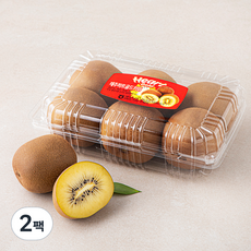 농협 제주 하트골드키위 5~9입, 1kg, 2팩
