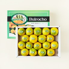 불로초 고당도12.5brix 감귤 랜덤과, 1.5kg, 1개