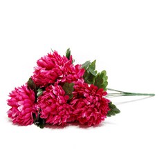 꽃꽂이레슨미국식강남