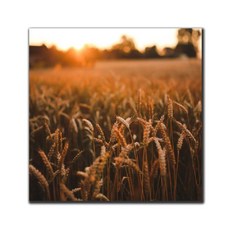 소형인테리어벽면액자국내산