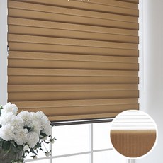 샐리나스블라인드차이점