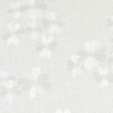 e17588ab-9bab-48d9-95fe-3ebcfb7bfaad.jpg