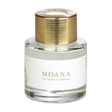모아나 쁘띠디퓨저, 우디구디