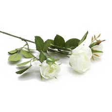 f3709bc1-de82-424a-98e7-ee6921f0b787.jpg