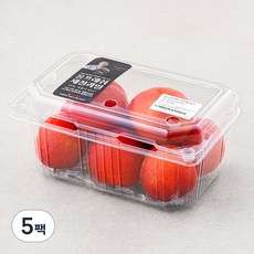 올프레쉬 새콤달콤 GAP 저탄소인증 와촌 대석 왕자두, 650g, 5팩