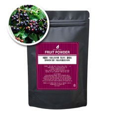 동이약초 아로니아가루, 100g, 1개
