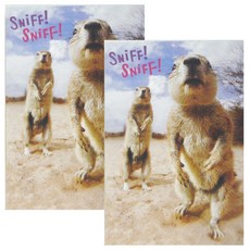 신생아기념일카드