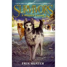 [해외도서]A Hidden Enemy, Harpercollins Childrens Books
