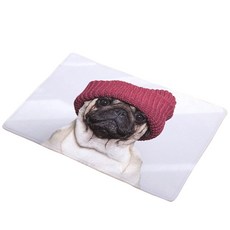 bed2fe1e-960c-42ab-b868-e32efcccf56d.jpg