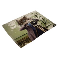 고양이범백키트