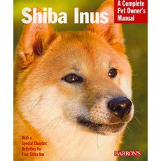 이누스바스잉글리쉬