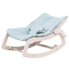 세이지폴바운서시트