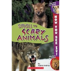 Now You See It! Small to Scary Animals Paperback, Scholastic Paperbacks