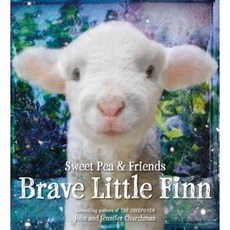 Brave Little Finn Hardcover, Little, Brown Books for Young Readers