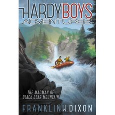 The Madman of Black Bear Mountain Hardcover, Aladdin Paperbacks