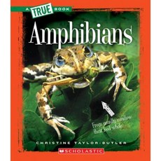 Amphibians Paperback, Scholastic