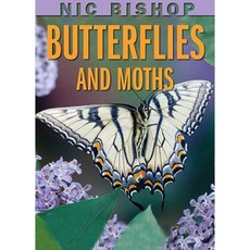 Nic Bishop Butterflies and Moths Hardcover, Scholastic