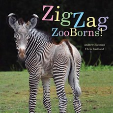 Zigzag Zooborns!: Zoo Baby Colors and Patterns Hardcover, Beach Lane Books