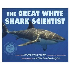 The Great White Shark Scientist Hardback, Houghton Mifflin Harcourt