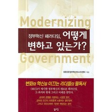 정부혁신