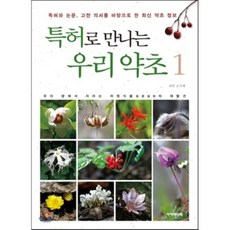 특허로 만나는 우리 약초 1 : 특허와 논문 고전 의서를 바탕으로 한 최신 약초 정보, 아카데미북, 조식제 저