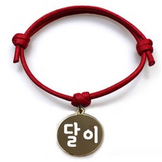 펫츠룩 굿모닝 레드 반려동물 목걸이 S + 메탈원형 팬던트 M, 골드(달이), 1개
