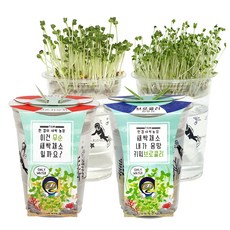 틔움세상 한컵새싹농장 무순 + 브로콜리 키우기 세트, 1세트