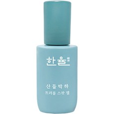 한율 산들박하 트러블 스팟젤, 20ml, 1개